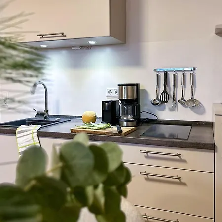 Buchenweg Winterberg